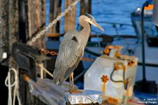 047_Edited