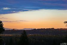 IMG_0044 copy
