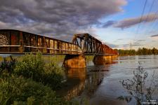 IMG_0104 copy