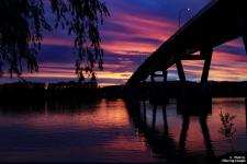 IMG_0683 copy