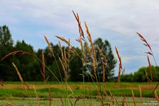 IMG_0192 copy